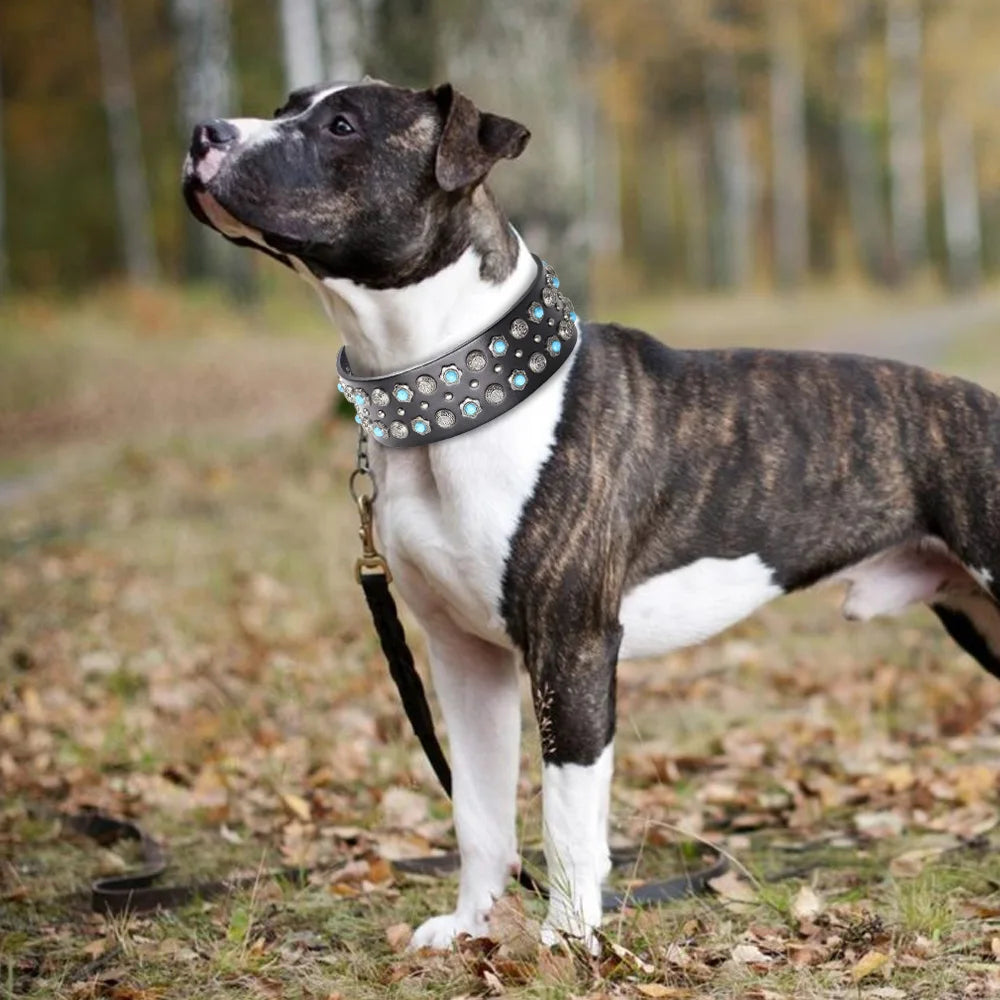 the STUD & SPARK ELITE COLLAR - Luxurious Dog Real Leather Collar, Cool Spiked Studded Pet Collars, Jeweled Leather Dogs Collars, Necklace for Pet Show, Bulldog