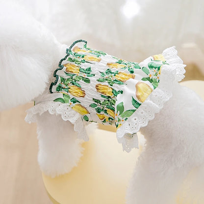 Floral Dog Dress Dog Summer Clothes Cute Cat Dog Princess Dresses Chihuahua Frnench Bulldog Bichon Girls Dog Costume Pet Skirt