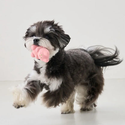 Squeaky Latex Dog Toys - Fun Beeping Pet Toys Set for Puppies & Dogs, Interactive Playtime Companions