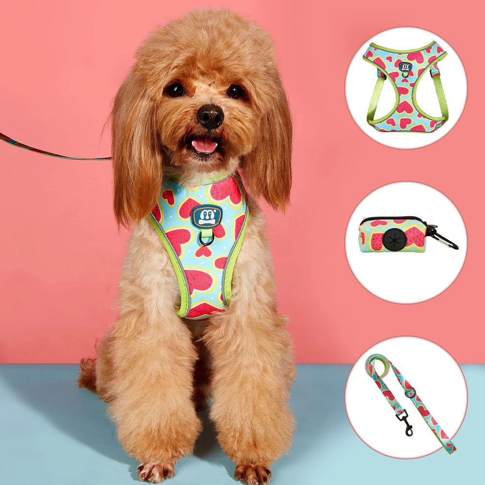the JUCIYPAWS 3-PIECE SET - 3PCS/Set Watermelon Love, High Quality Dog Harnes Leash with Poop Bag Holder Set, Soft Breathable Lining