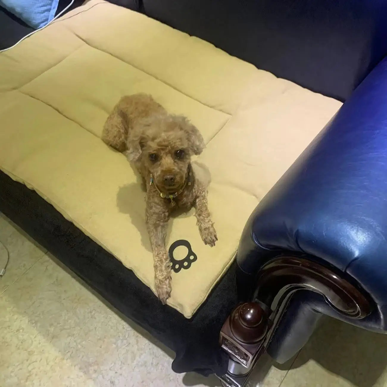 Dog Pet Beds Extra Large Dog Bed Sofa Cat Bed Four Season Cotton linen Mat Scratch-resistant wear-resistant Pet Cushion Cat Mat