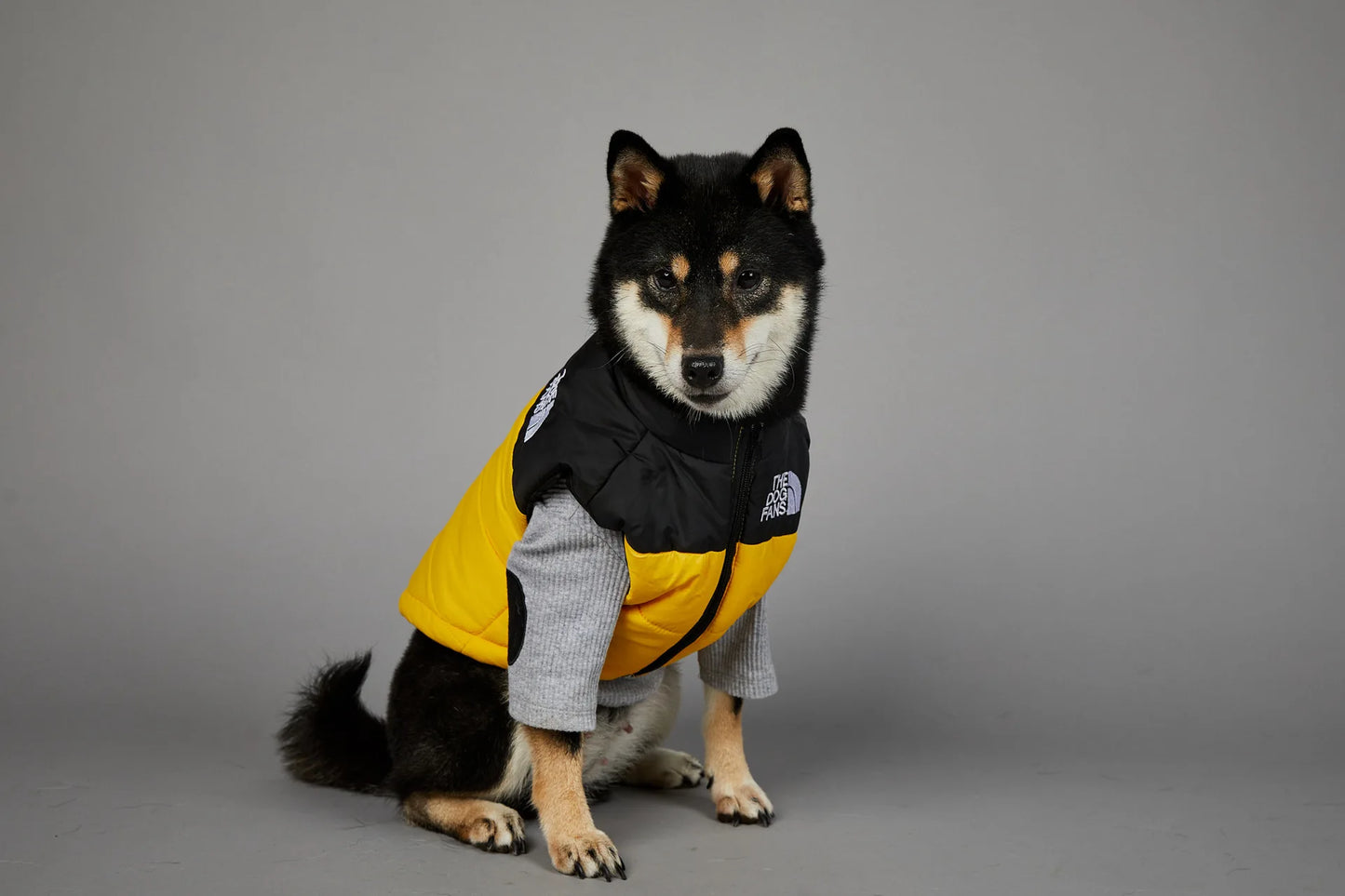 Dog Fans Punch Large Dogs Winter Warm Raincoat Anti Pet Cotton Clothing Windproof Rainproof Dog Coat