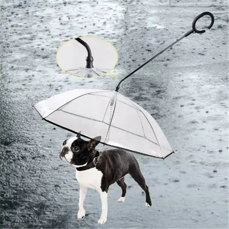 the DRIZZLEDEFENDER PET GEAR - New Transparent Pet Umbrella, Well Made Detachable Adjustable Rainy Day Outdoor Dog Walking Leash for Small Dogs, Pet Supplies