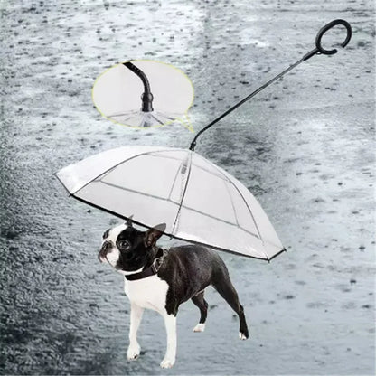 the DRIZZLEDEFENDER PET GEAR - New Transparent Pet Umbrella, Well Made Detachable Adjustable Rainy Day Outdoor Dog Walking Leash for Small Dogs, Pet Supplies
