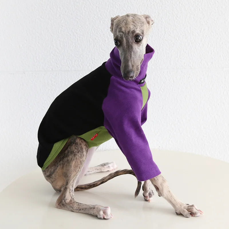 8colors Italian Greyhound Hound Two-Legged Clothes Fashionable Multicolor Soft Comfortable Elastic Fashion Patchwork Dog Clothes