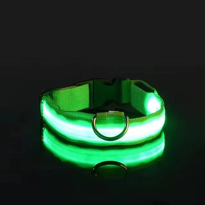 the GLOWTRAIL NIGHT COLLAR - BOOTEELY Nylon LED Night Safety Flashing Glow-in-the-Dark Dog Collar, Dogs Luminous Fluorescent Pet Dog Collar