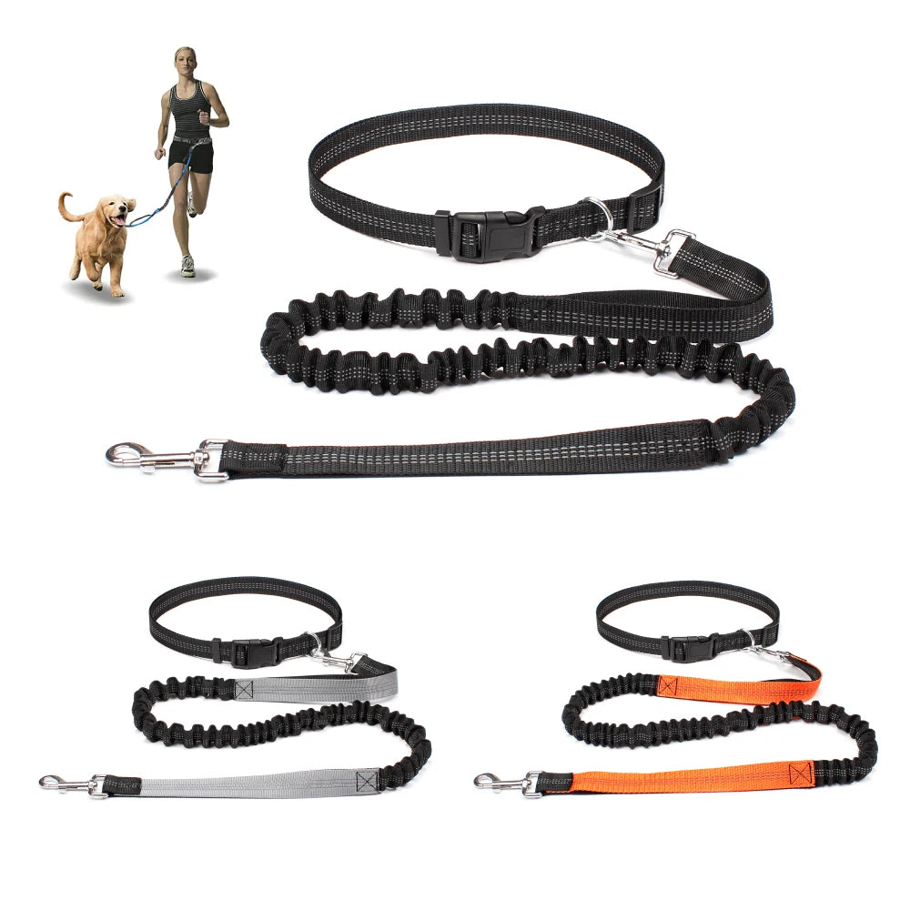 the ACTIVELINK HANDS-FREE LEASH - Hand-Free Dog Leash for Pet Walking/Running/Jogging, Adjustable Dog Leash Waist Belt/Chest Strap Traction Rope, Dog Accessories
