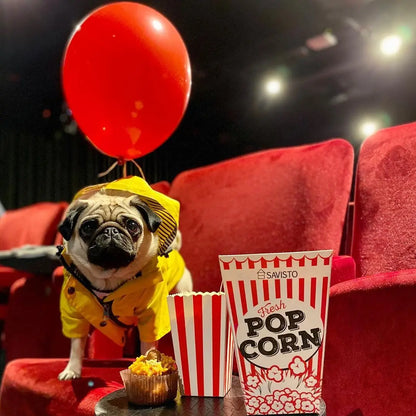 the PENNYWISE COAT - Fashion Raincoat for Dogs, Waterproof Raincoat Jacket Coat, Windproof for Small/Medium/Large Dogs Pet Fashion Clothes