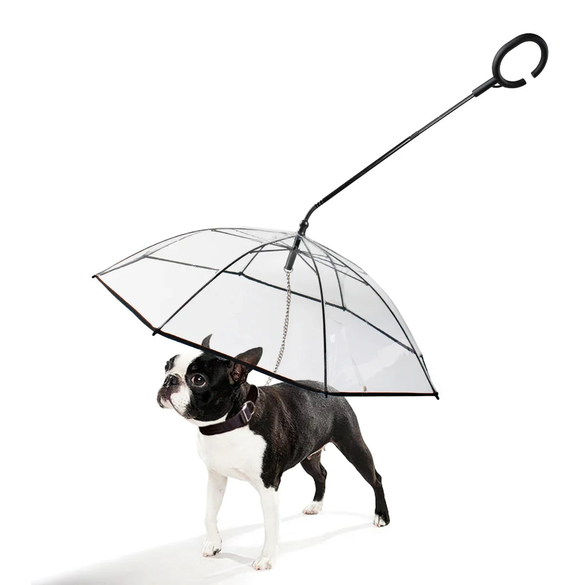 the DRIZZLEDEFENDER PET GEAR - New Transparent Pet Umbrella, Well Made Detachable Adjustable Rainy Day Outdoor Dog Walking Leash for Small Dogs, Pet Supplies