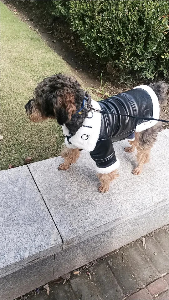 the BIKER DOG - Thickened Fur Integrated Motorcycle Jacket, Pet Clothes, Winter Clothing, Small Dog, Teddy, Pomeranian, Schnauzer