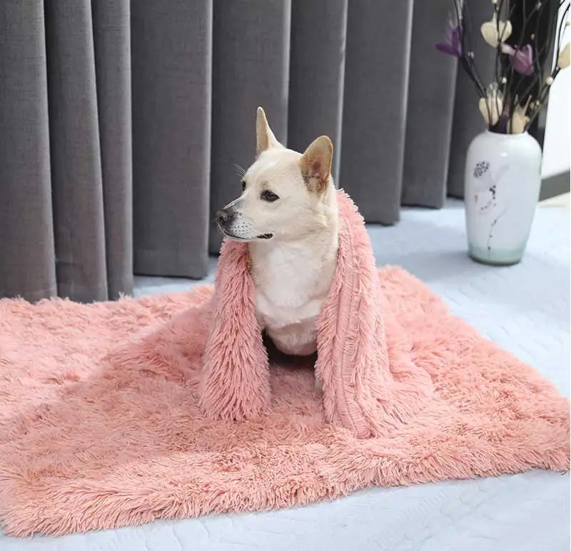 Plush Dog Blanket Winter Warm Pet Sheet Cat Dog Sofa Cushion Pet Mattress Household Carpet Comfortable Dog Sleeping Blanket