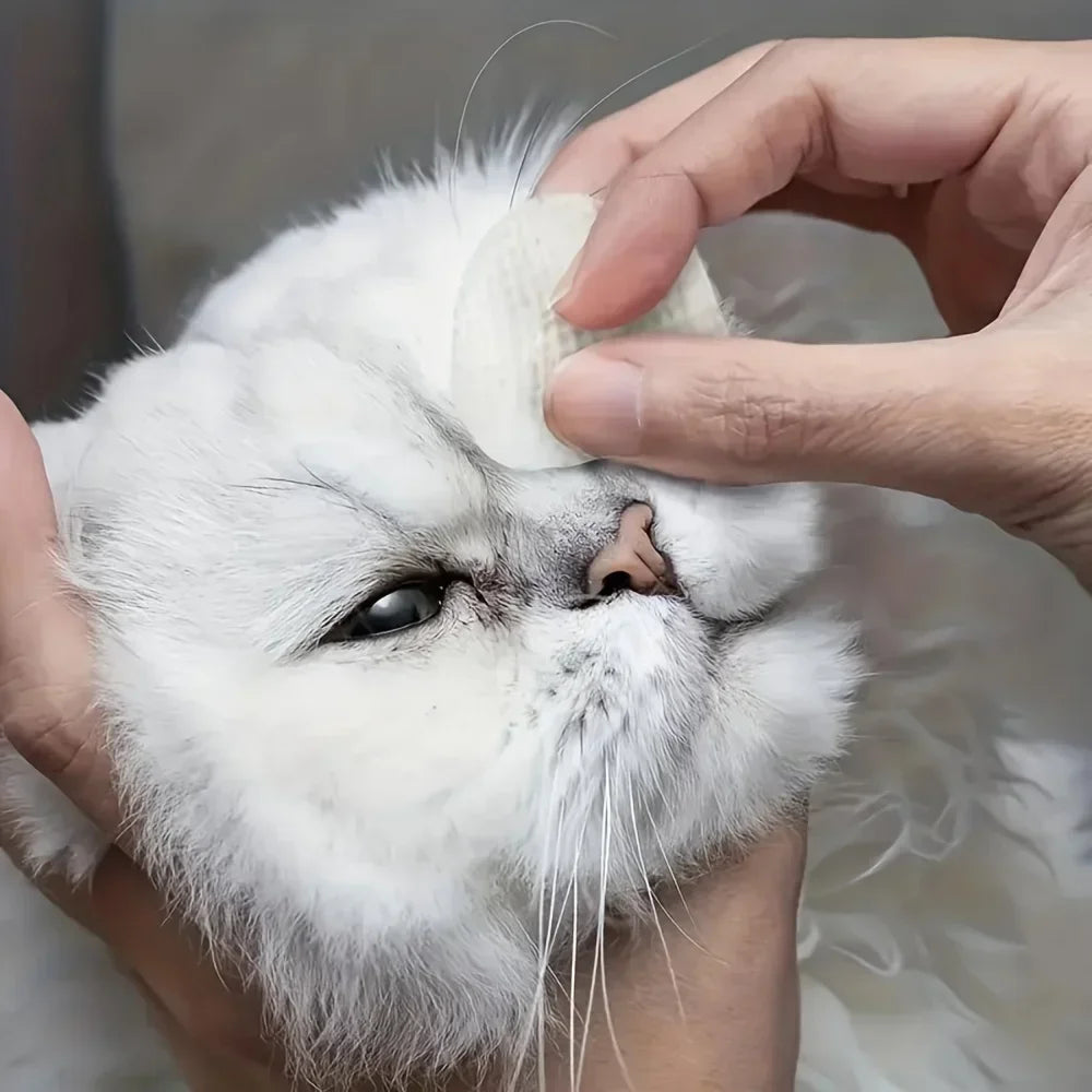 the CLEAN EYES - 200pcs Pet Eye Cleaning Wipes, Gentle Tear Stain Remover Wipes for Dogs and Cats, Pet Eye Wash Pads, Pet Towel, Pet Wipes