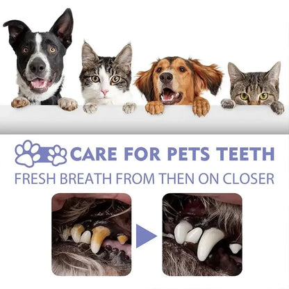 the DOGGY BREATH SPRAY - Pet Teeth Cleaning Spray, Prevent Calculus Cat/Dog Tartars, Bad Breath Removal, Dog Keep Fresh Breath, Deodorization Pet Oral Care Spray