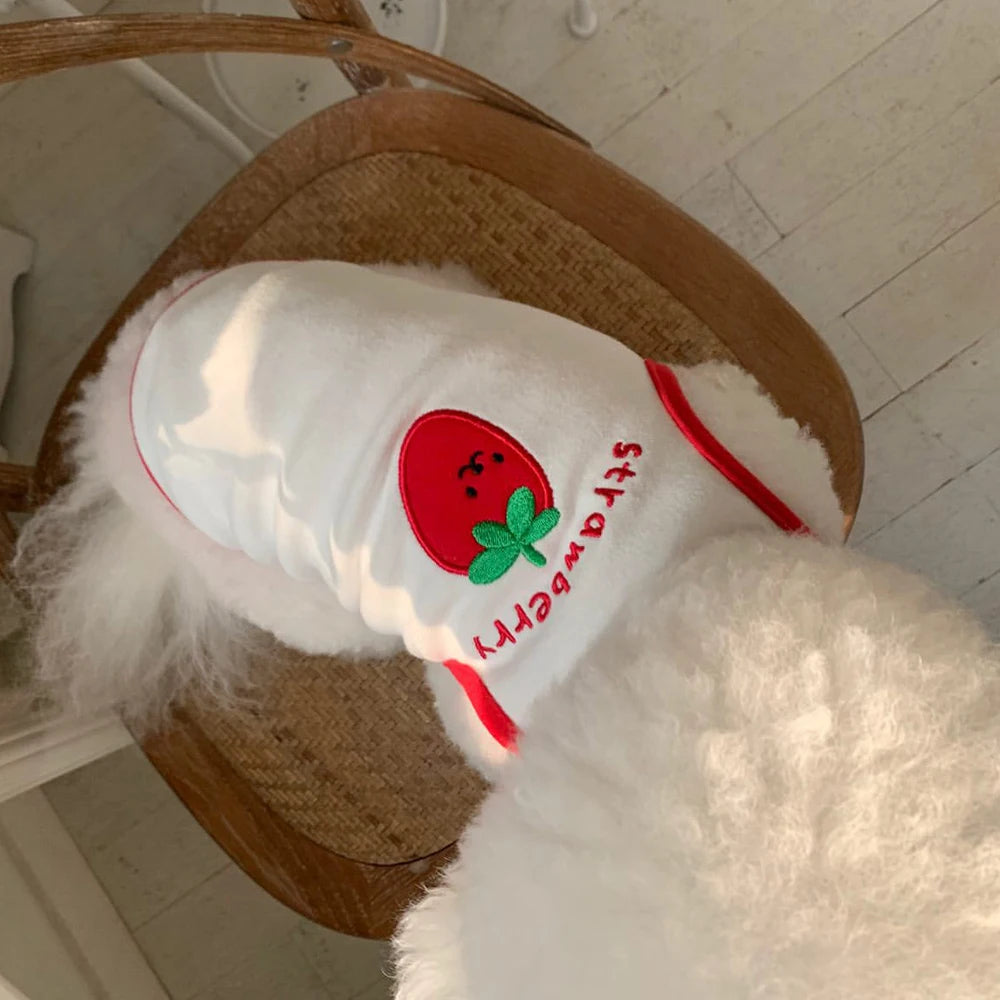 Comfortable White Dog Shirt Embroidery Teddy Pet Cat Sunscreen Shirt Puppy T-Shirt Cat Vest Small Dog Summer Clothes