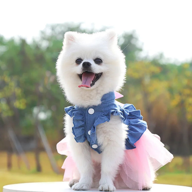 Summer Dog Clothes Pet Dresses for Small Dogs Pomeranian Chihuahua Puppy Kitten Skirt Clothing for Medium Dogs Product Supplies