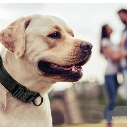 the ALPHA ARMOR TACTICAL SET - Heavy-Duty Military Tactical Dog Collar & Leash Set: Adjustable & Durable for All Sized Dogs
