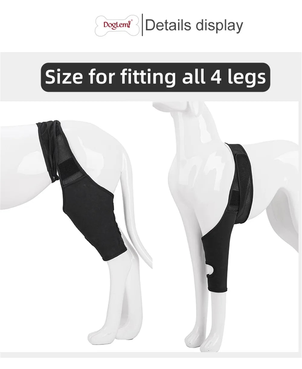 Dog Knee Brace Injury Recovery Fixed Support Brace Pet Leg Pain Relief Joint Wrap Brace For Elderly Disabled Injured Dogs