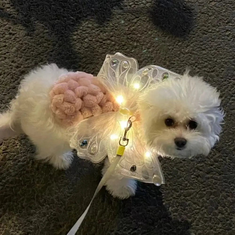 the ANGEL WINGS - Cute Glowing Dog Wing Butterfly for Small/Medium Dog Clothes, Sweet Gift Pet Back Decoration