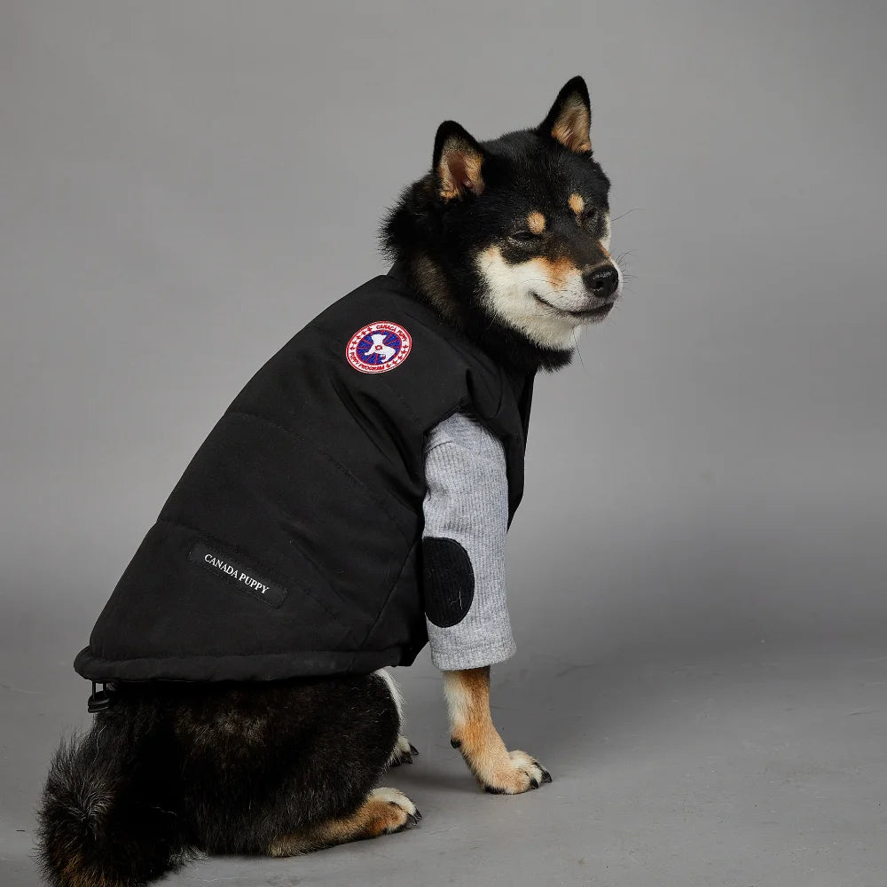 NONOR New Winter Pet Dog Clothes Cotton Vest Warm Windproof Dog Jacket French Bulldog Puppy Yorkshire Chihuahua Dog Costume