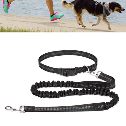 the ACTIVELINK HANDS-FREE LEASH - Hand-Free Dog Leash for Pet Walking/Running/Jogging, Adjustable Dog Leash Waist Belt/Chest Strap Traction Rope, Dog Accessories