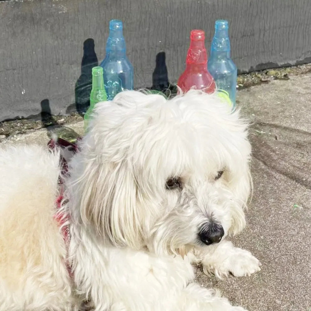 Pet Chew Toy Pet Sound Bite Resistant Molar Floating Rubber TPR Tennis Bottle Pet Bottle Ball Squeaky Toy Accessories