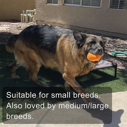 the GO BANANAS CHEW TOYS - 10 PACK SET - Pet Dog Toys, Plush Chew Toy, Soft Banana Bone Vegetable Fruit Squeaky Puppy Training Interactive Toy, Bite-Resistant, Pet Supplies