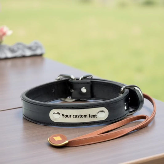 the NAMESAFE EVERYDAY ID COLLAR - Custom Personalized Dog Collar with Name Engraved ID, Anti-Loss Solid PU Leather for All Types of Puppies and Kittens, Pet Supplies