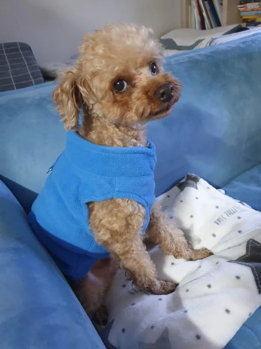 Dog Fleece Vest Chihuahua Winter Clothing For Small Dogs Warm Dachshund Dog Coat For Medium Bulldog Pitbull Maltese Dogs Jumpers