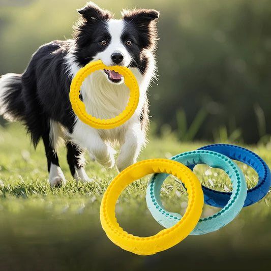 AeroTuff FlightRing™ TPR Flying Disk Dog Toy | Dog Paw Clothing™