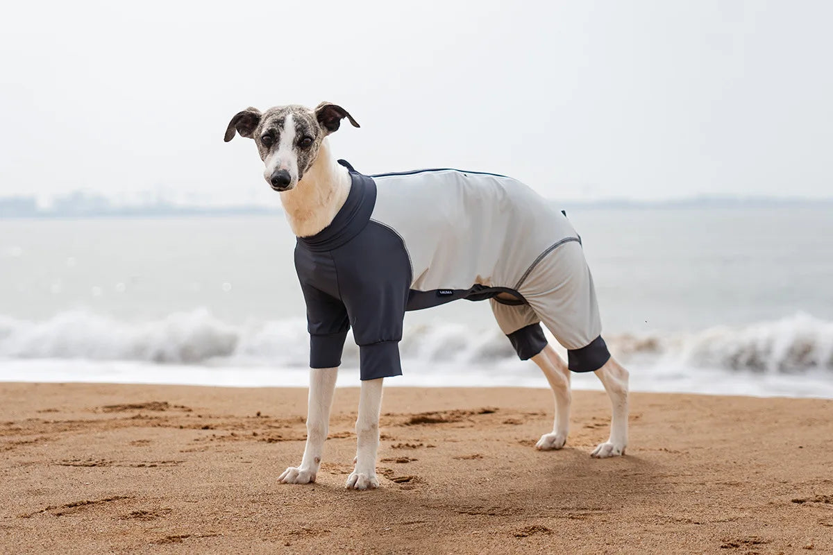 Summer Cooling Dog Vest Shirt UPF50+ Sun Protection Dog Jumpsuit Fast Drying Dirt-Proof Dog Clothing Soft Summer Outdoor Overall