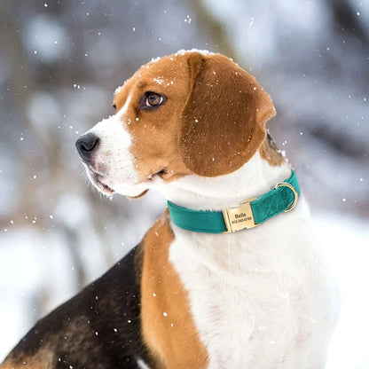 the COZY CREST PERSONALIZED COLLAR - Custom Dog Collar, Soft Velvet Dog Collars, Winter Personalized Pet ID Tag Plush Necklace for Small to Large Dogs, Pug, Free Engraving