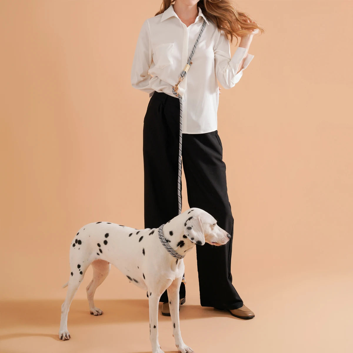 the SIMPLESTRIDE DOG COLLAR - Pet Dog Lead Rope Simple Trendy Style Collar, Leashes for Small/Medium and Large Dogs, Bulldog, Alaskan Malamute, Corgi, Teddy Dog