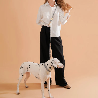 the SIMPLESTRIDE DOG COLLAR - Pet Dog Lead Rope Simple Trendy Style Collar, Leashes for Small/Medium and Large Dogs, Bulldog, Alaskan Malamute, Corgi, Teddy Dog