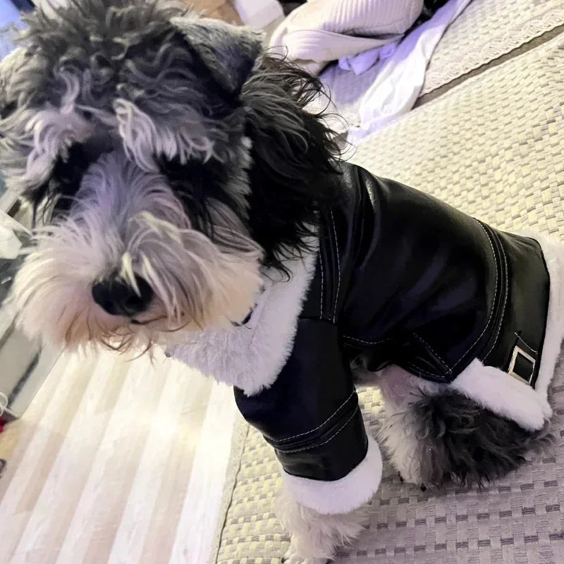 the BIKER DOG - Thickened Fur Integrated Motorcycle Jacket, Pet Clothes, Winter Clothing, Small Dog, Teddy, Pomeranian, Schnauzer