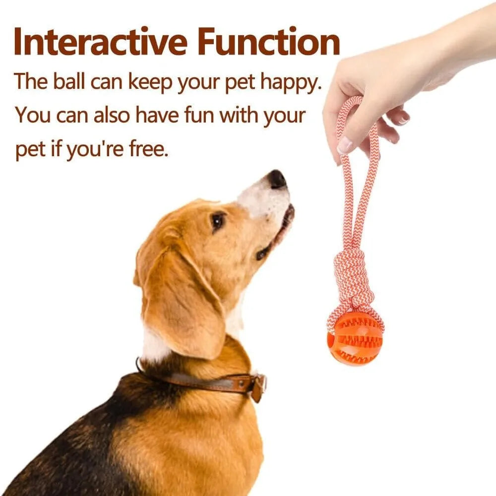 Dog Rope Ball Bite Resistance Training Ball with Rope Interesting Puzzle Teething Toy for Molar Teeth Cleaning Boredom Relieving