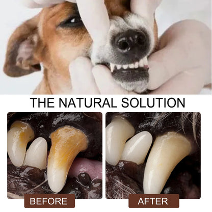 the NATURAL SOLUTION - Pet Tooth Cleaning Spray, Dogs Remove Bad Breath Freshener, Dogs/Cats Oral Cleaning Dental Care Deodorization Spray, Pet Supplies 30ml