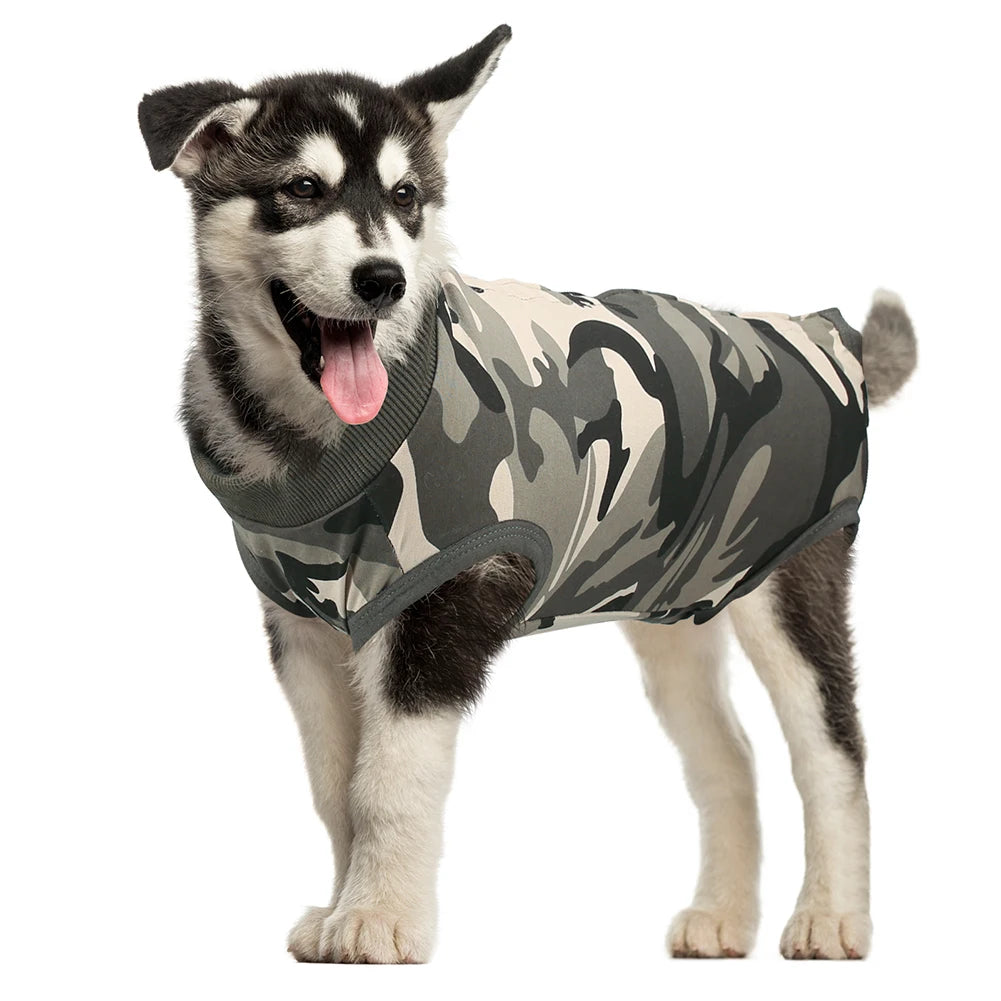 Recovery Suit for Dogs and Cats After Surgery Surgical Shirt for Female Male Pets Cone E-Collar Alternative Vest Prevent Licking