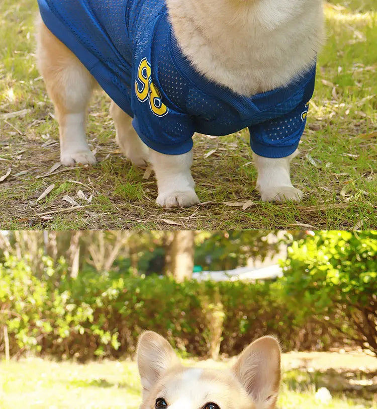 Summer Pet Dog Cooling Vest Fashion Soft Clothing Summer Casual Shirts Small Medium Large Dogs Puppy French Bulldog Pet Clothes