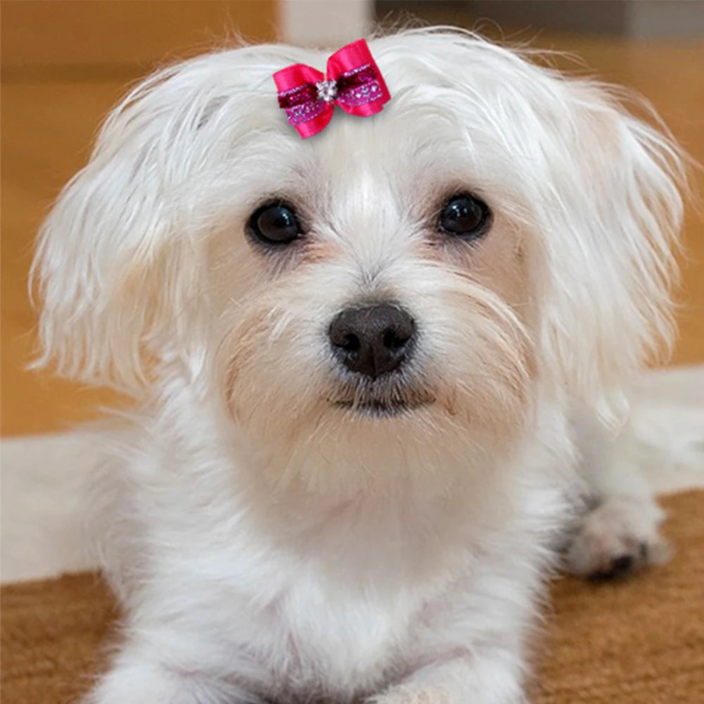 20pcs Pet Dog Cute Hair Bows with Rhinestone&Flowers Ribbon Bows Dog Hair Accessory Dog Groomining Pet Supplies