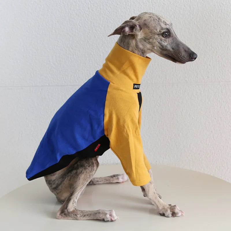 8colors Italian Greyhound Hound Two-Legged Clothes Fashionable Multicolor Soft Comfortable Elastic Fashion Patchwork Dog Clothes