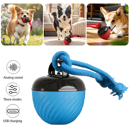 Pet Ball for Dogs Interactive Toys Motion Activate Rolling Ball for Puppy/Small Dogs Automatic Moving Toy USB Rechargeable Toy