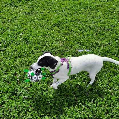Pets Accessories Dog Bite Chew Balls Interactive Pet Football Toys 15cm Puppy Outdoor Training Soccer With Grab Tabs