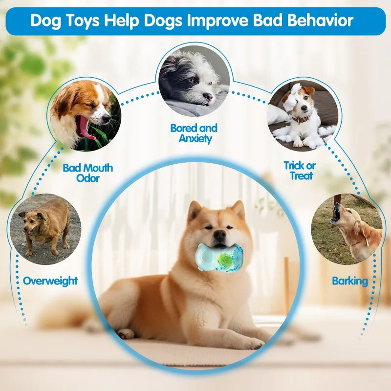 Pet Dog Chew Toy Outdoor Pet Puppy Bite Resistant Molar Floating Rubber Tennies Bear Squeaky Toy Dog Squeaky Toy Accessories