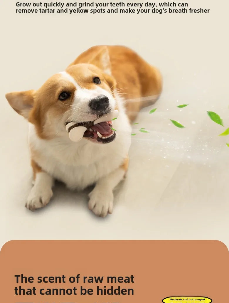 Yite Pet Eating and Playing Series Nylon Snacks Reward Teeth Grinding Bone Solitary Bite Resistant Stick Pet Toy