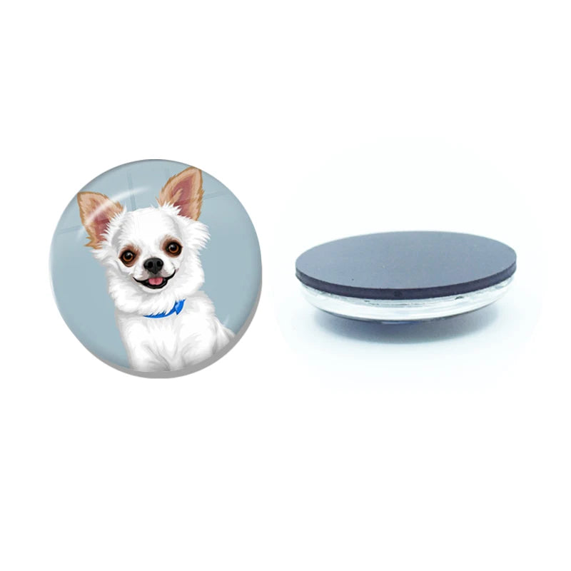 New Chihuahua Magnet Fridge Stickers Decoration Home Refrigerator Decor Glass Dome Crystal Souvenir