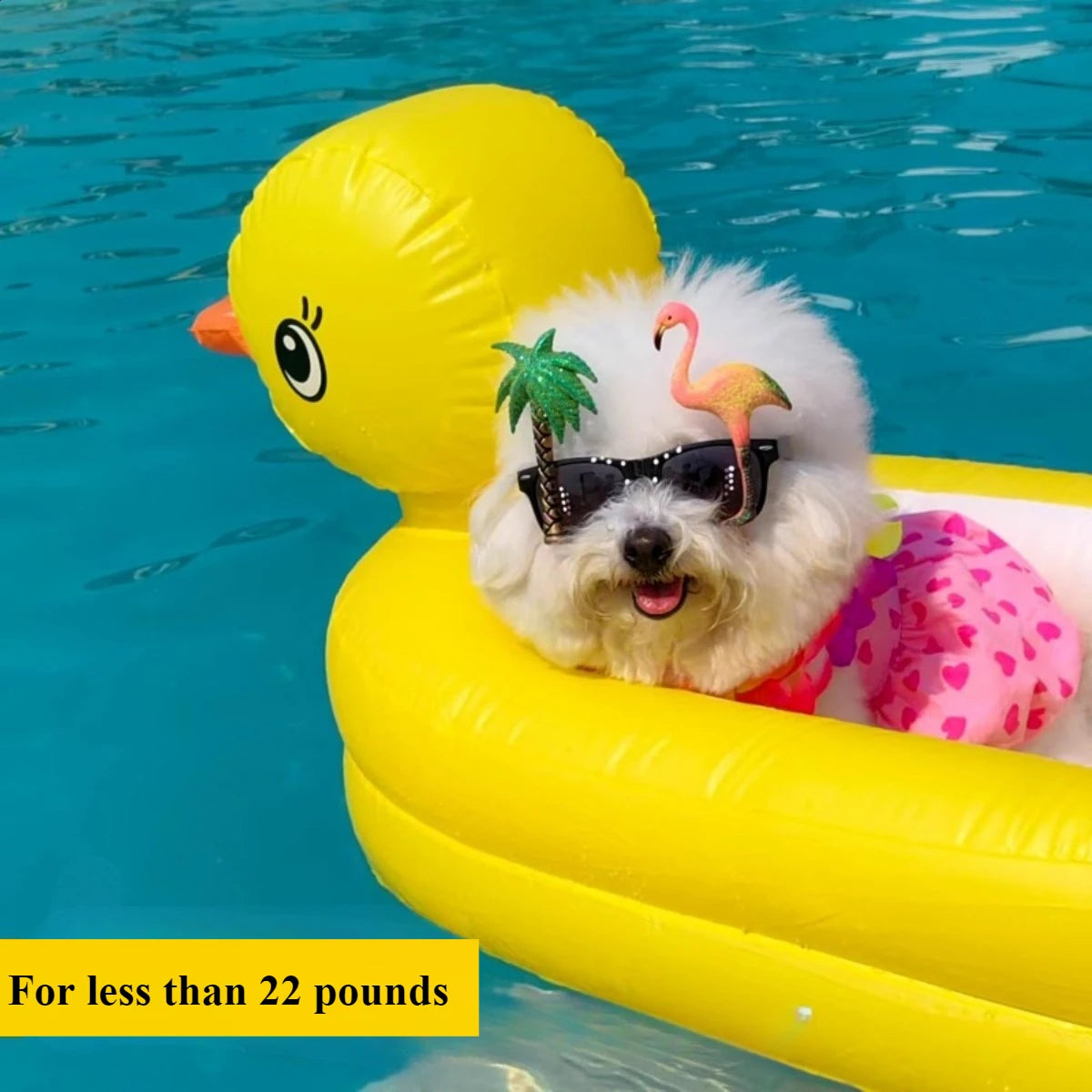 2in1 Dogs Pool Float Inflatable Foldable Pvc Dog Swimming Pool Yellow Duck Float for 22 Lb Pets Summer Pool Interactive Pet Toys