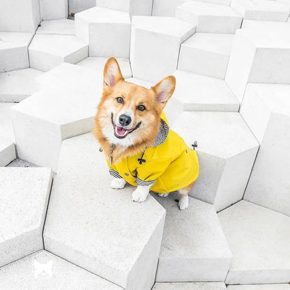 the PENNYWISE COAT - Fashion Raincoat for Dogs, Waterproof Raincoat Jacket Coat, Windproof for Small/Medium/Large Dogs Pet Fashion Clothes