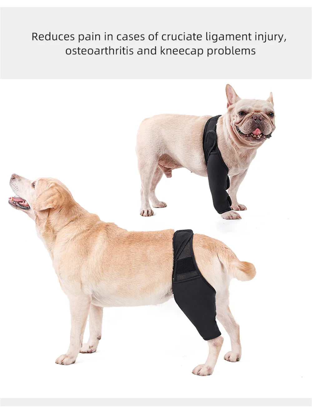 Dog Knee Brace Injury Recovery Fixed Support Brace Pet Leg Pain Relief Joint Wrap Brace For Elderly Disabled Injured Dogs