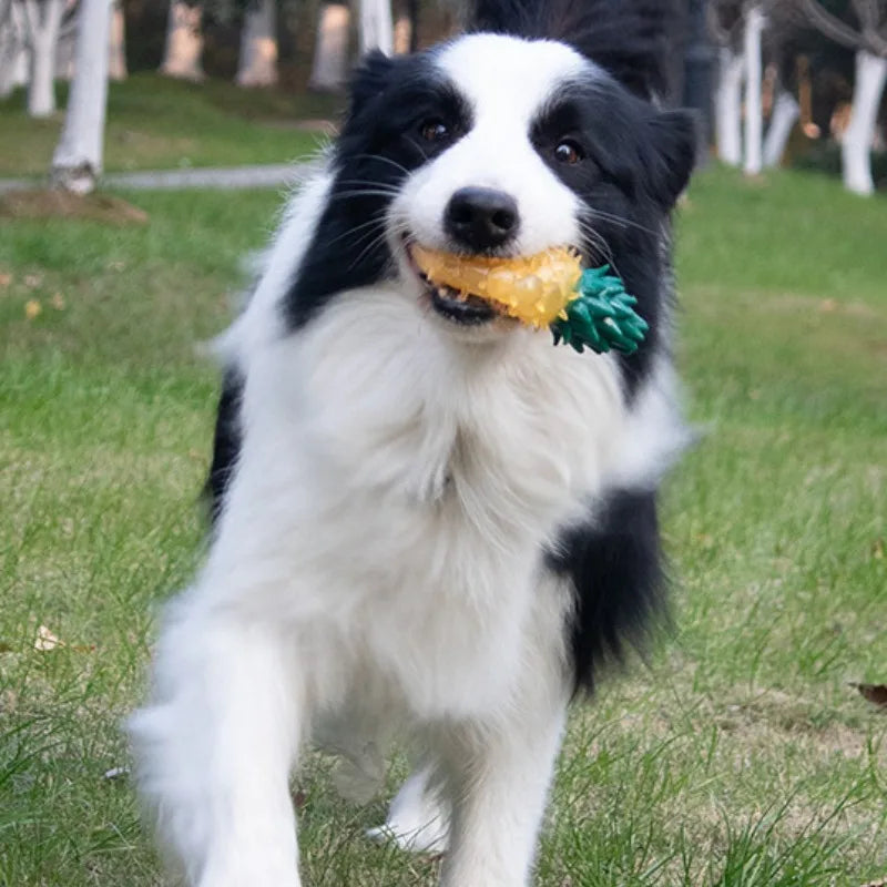 the FRUITFUSION CHEW TOY - Pet Squeaky Chew Toy, Dog Teeth Cleaning Toy, Watermelon Pineapple Lemon Fruit Shape Puppy Bite Resistant Toy, Pet Supplies