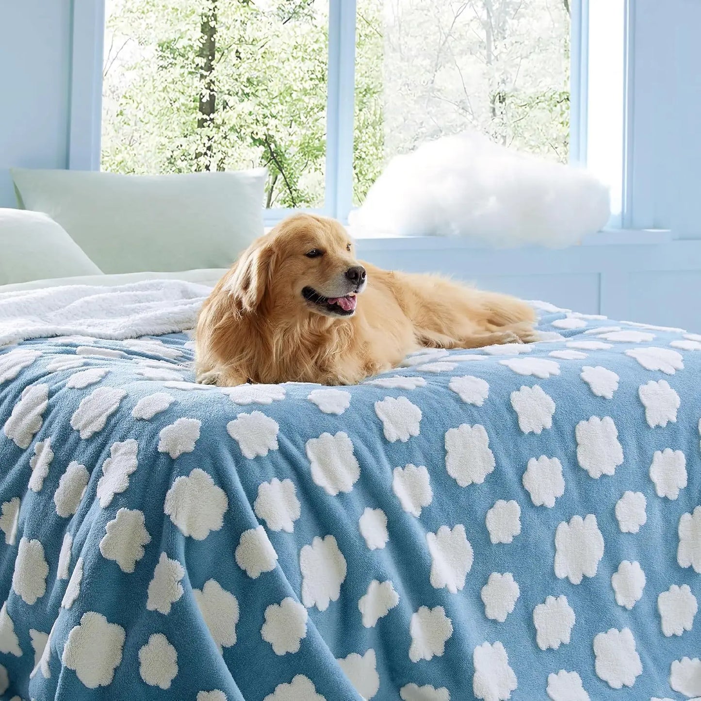 Pet blanket dog blanket pet matwarm and coldproofsuitable for all seasonsscratch resistant